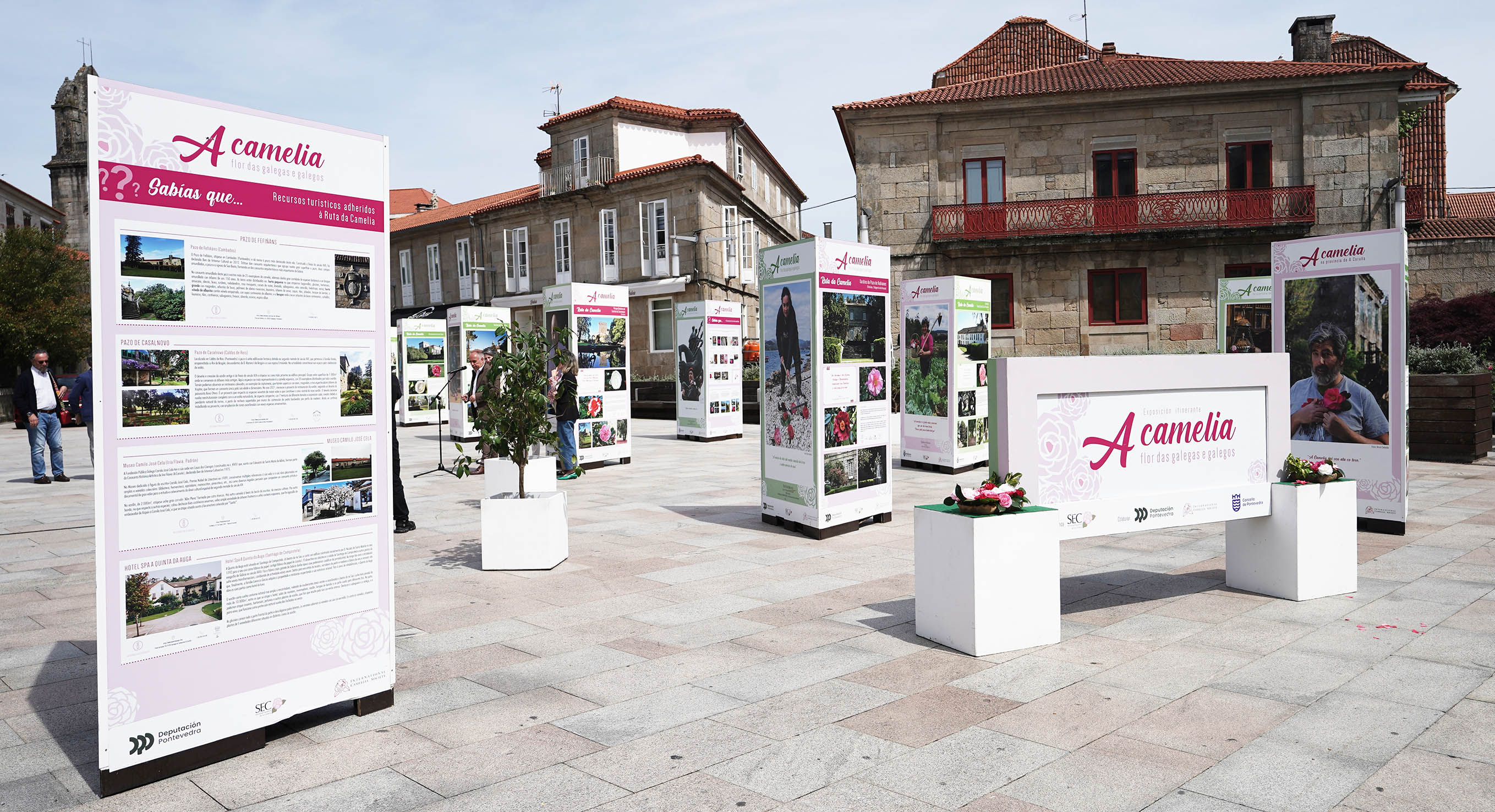 Exposición "A camelia flor de galegas e galegos" Exposición "A camelia flor de galegas e galegos"