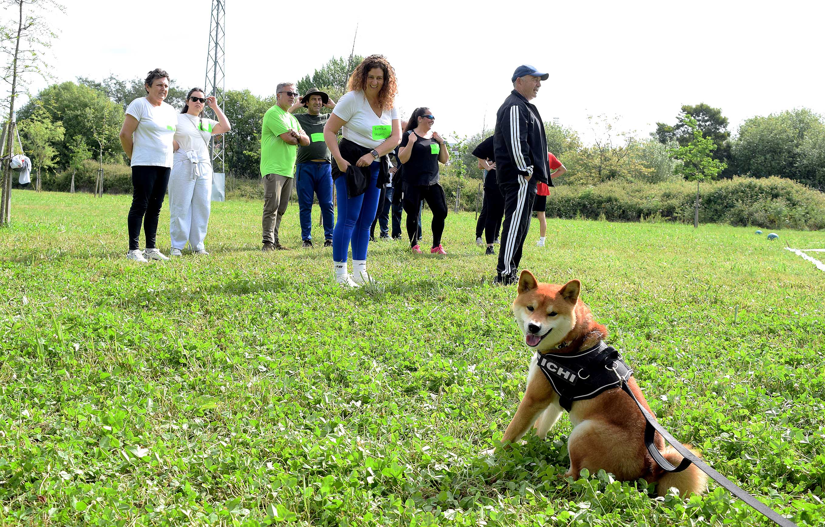 Xuntanza de Rehabilitación Cardíaca celebrada en el Parque da Xunqueira de Alba Xuntanza de Rehabilitación Cardíaca celebrada en el Parque da Xunqueira de Alba