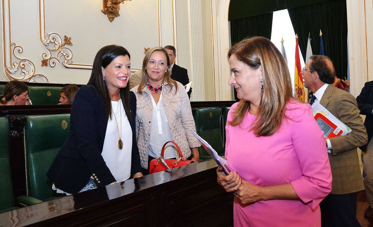 Pleno organizativo da Deputación