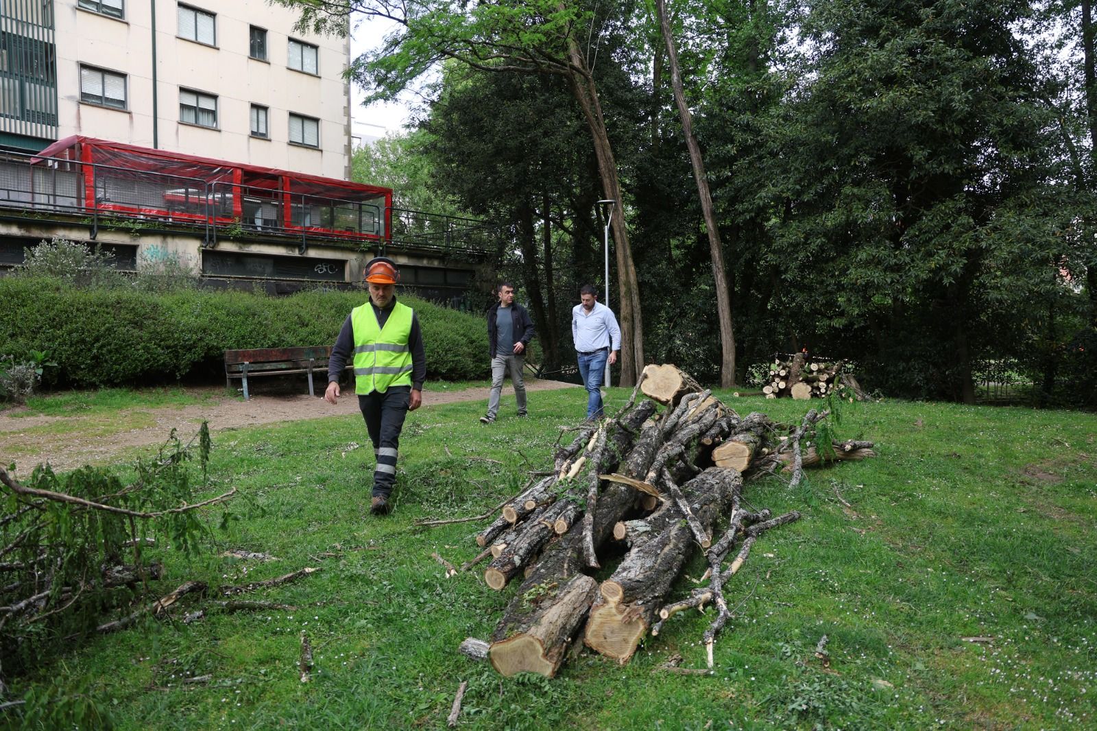 Retirada de árbores e ramas do paseo do Gafos
