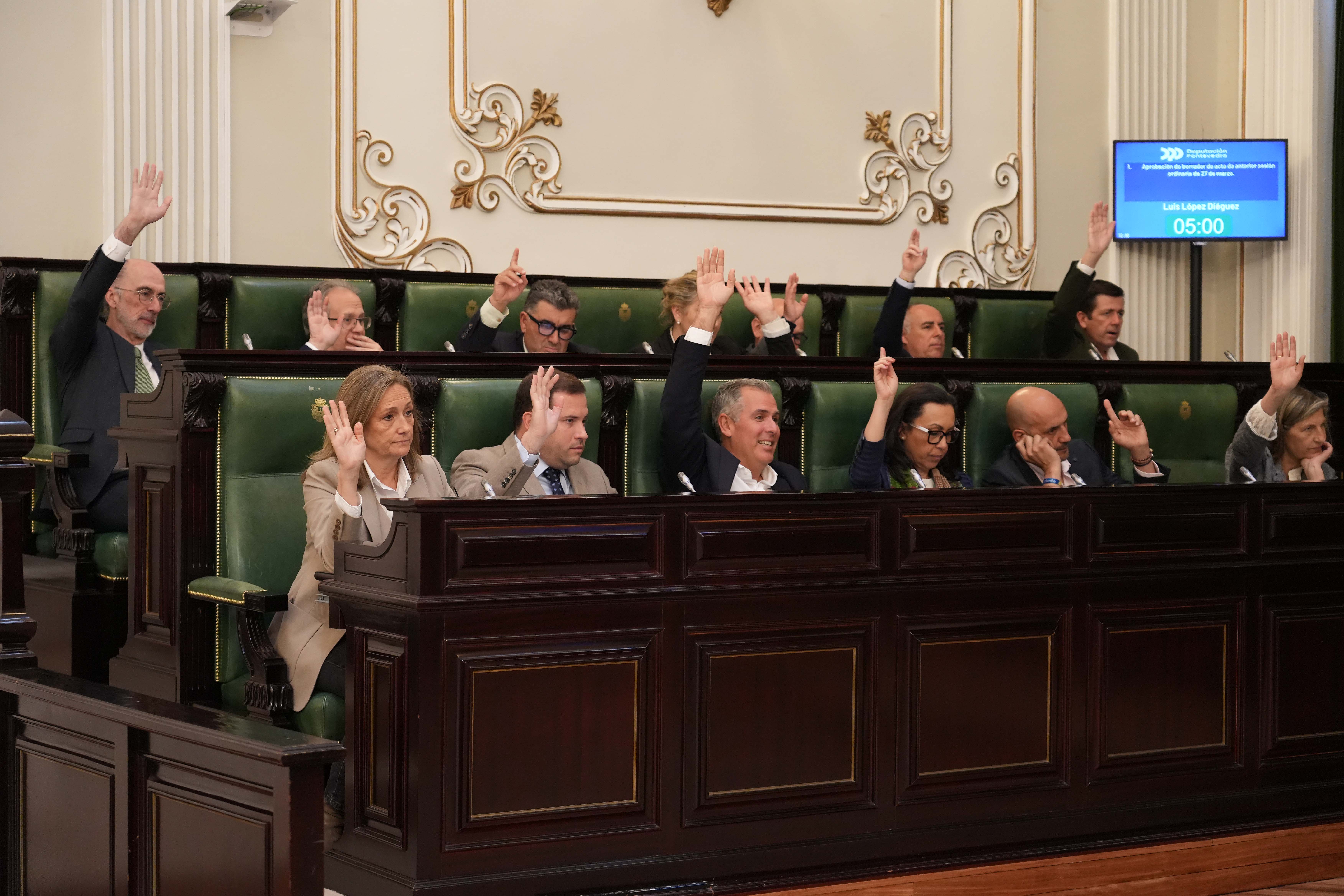 Pleno de la Deputación