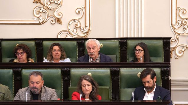 Pleno de la Deputación Pleno de la Deputación