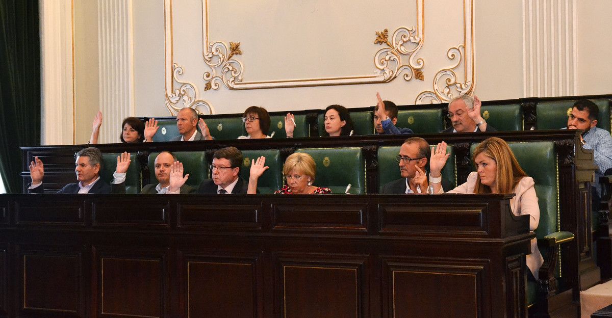 Pleno organizativo da Deputación