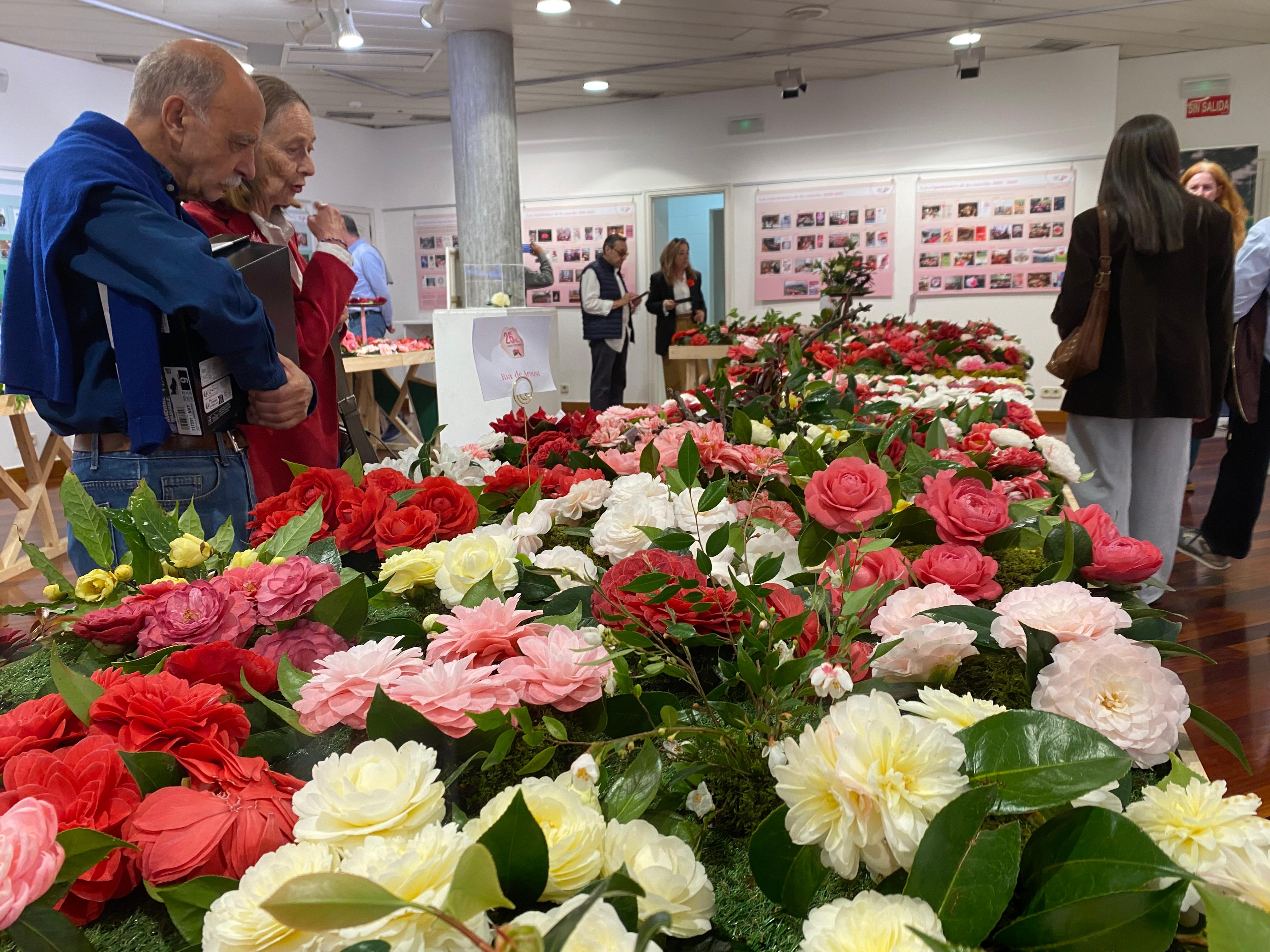 Exposición de camelias en el Palacete de las Mendoza