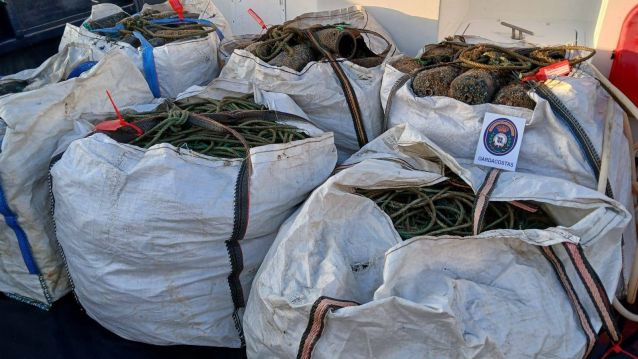 Artes de pesca ilegales confiscadas Artes de pesca ilegales confiscadas
