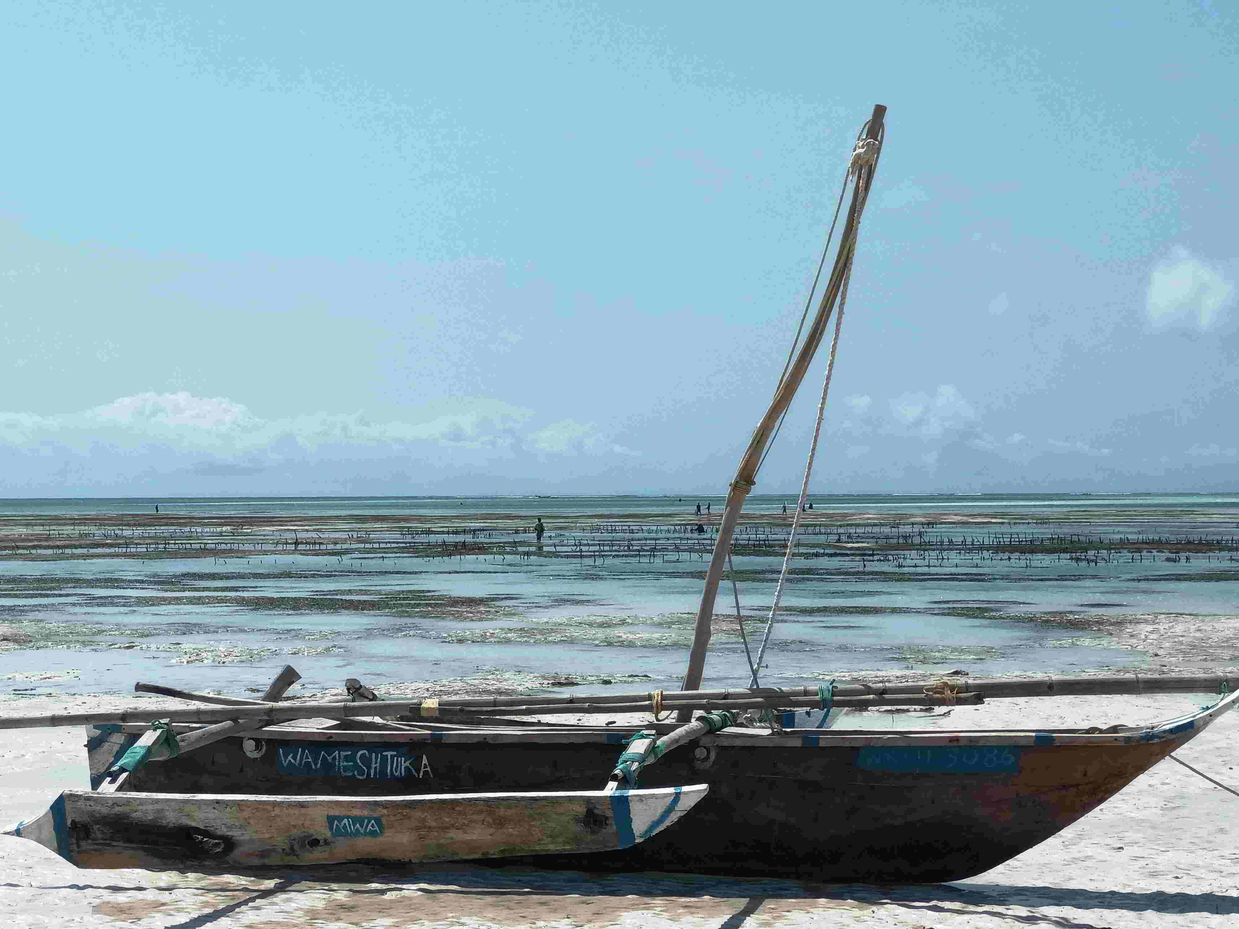Dhows (1) Dhows (1)