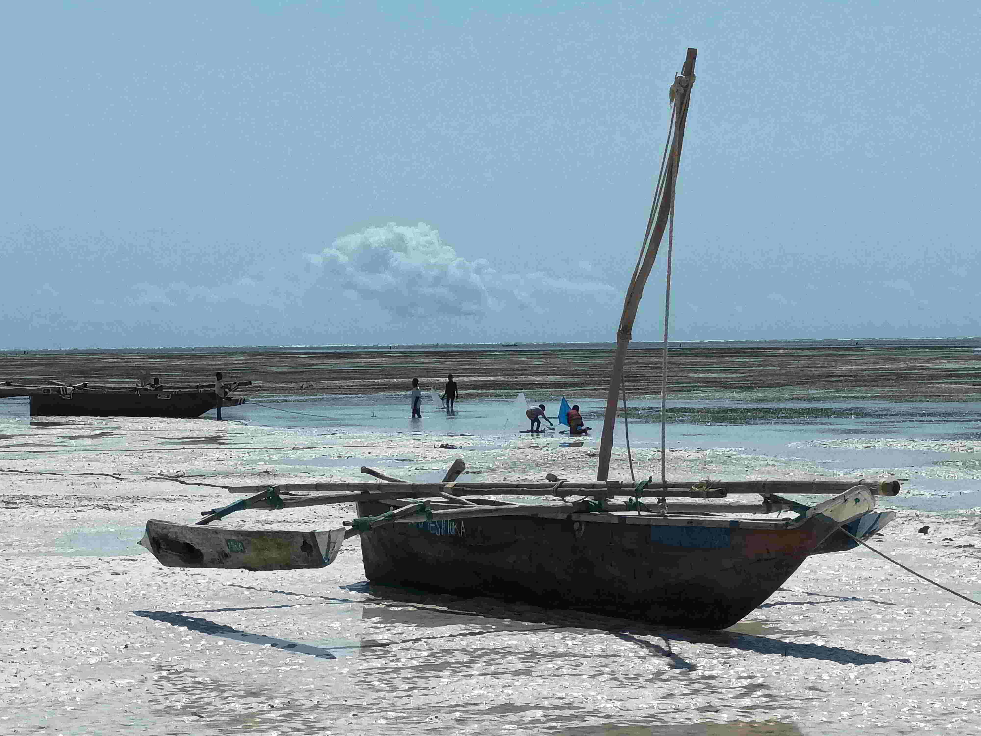 Dhows (3) Dhows (3)