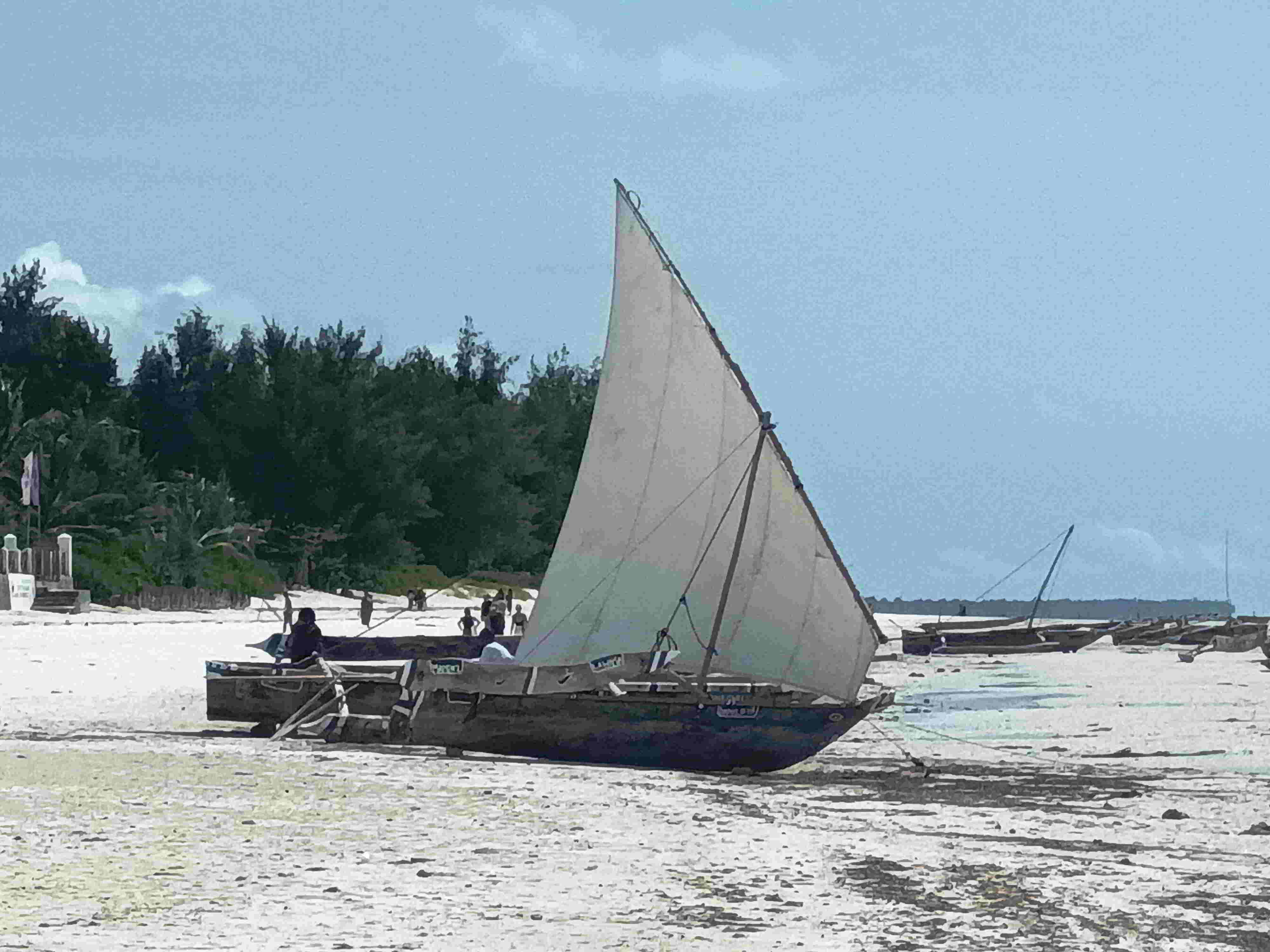 Dhows (4) Dhows (4)