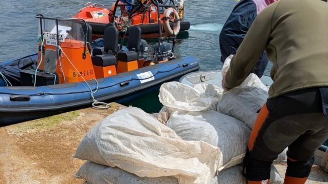 Gardacostas decomisaba semente de mexillón na Illa de Onza Gardacostas decomisaba semente de mexillón na Illa de Onza