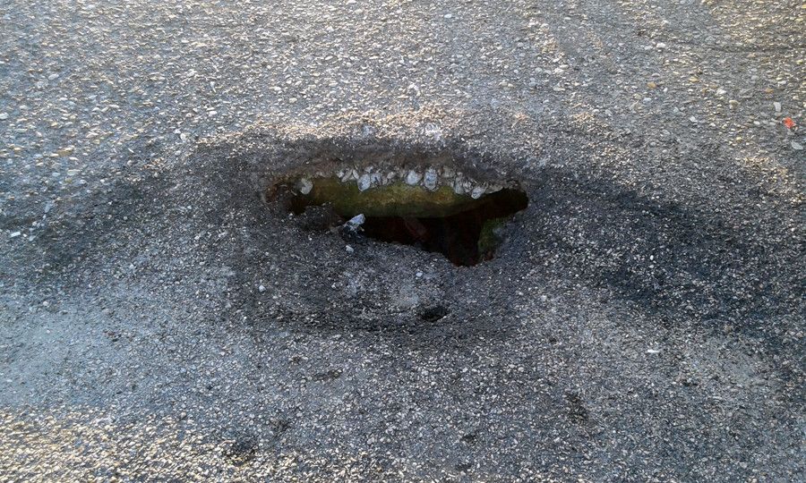 Bache en un vial