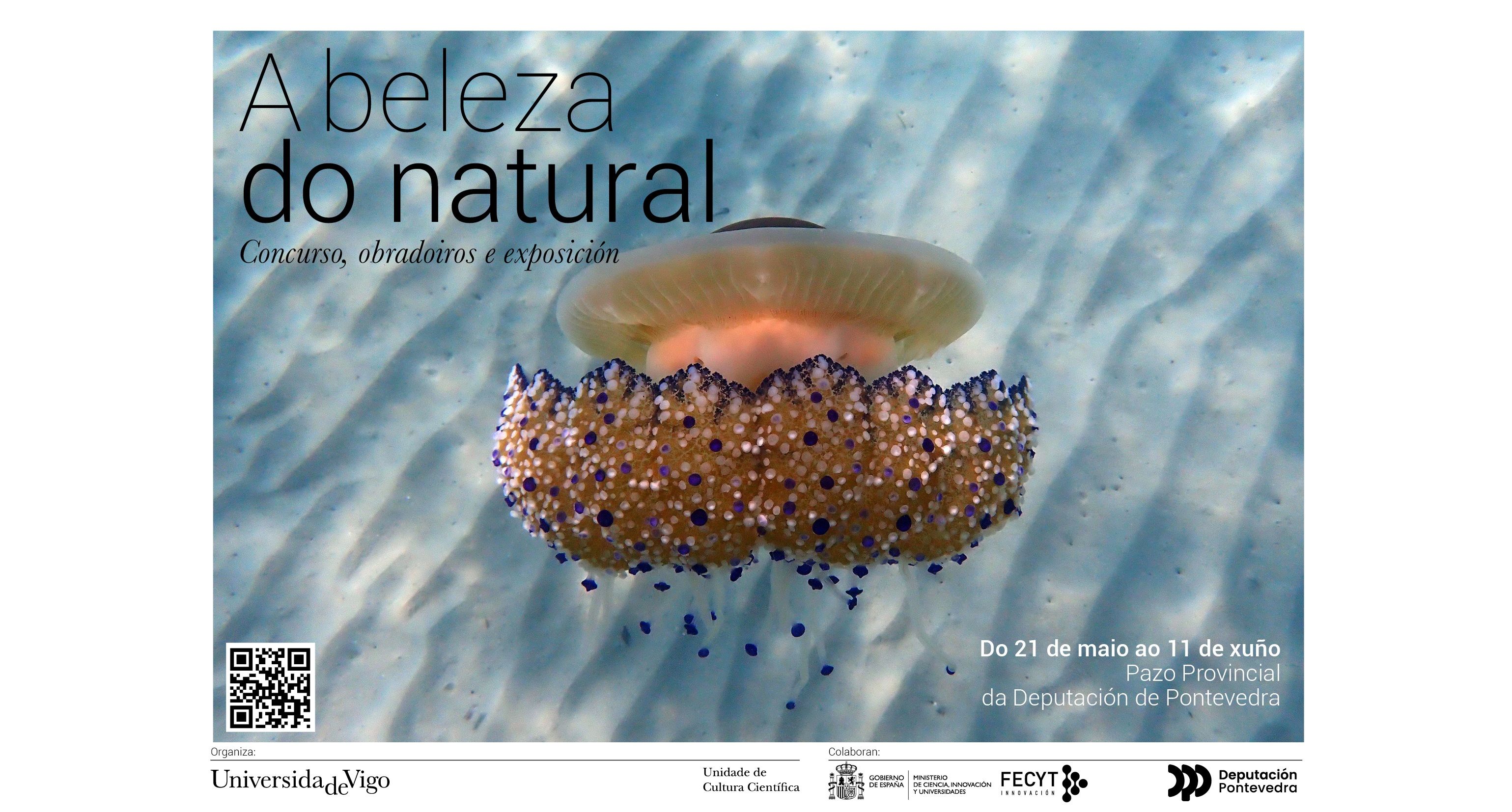 Cartel de 'A beleza do natural'
