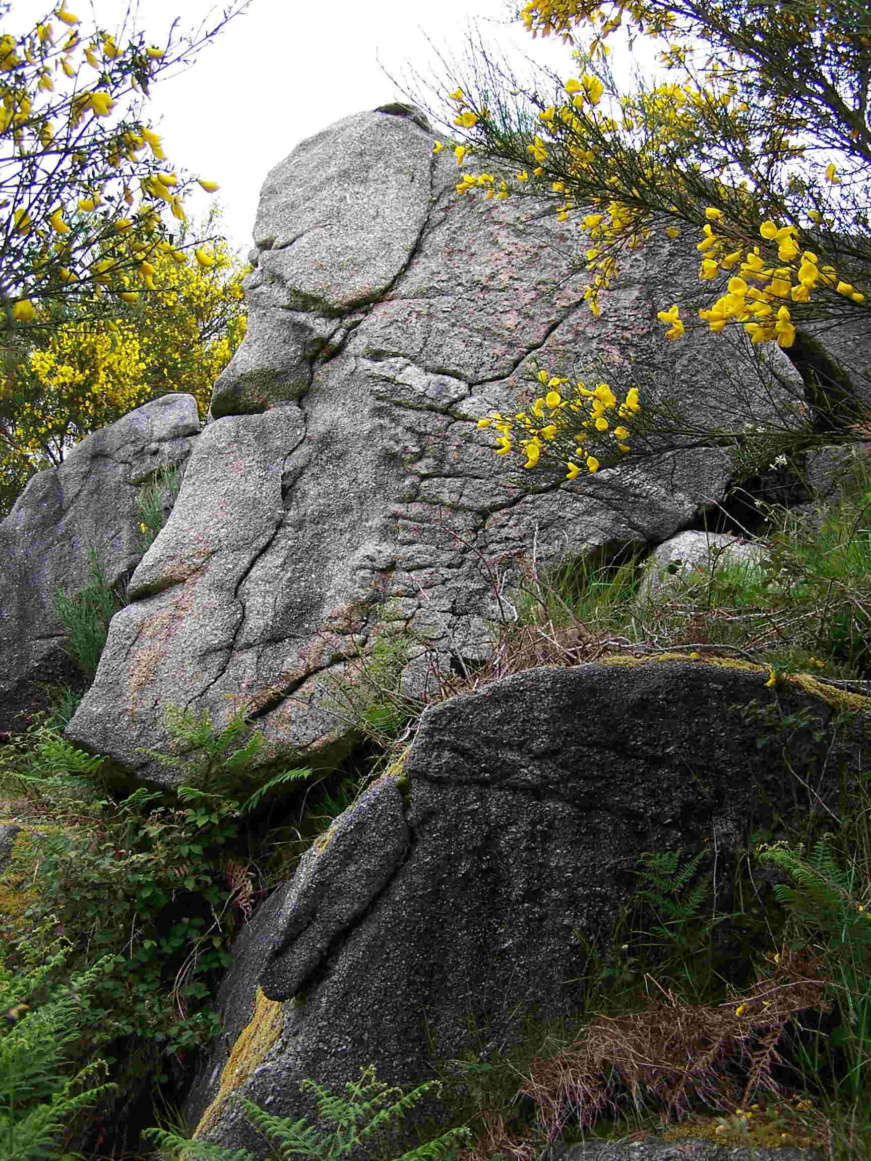 A Cabeza do Mouro de Castrodiz (Castro Cerdedo).