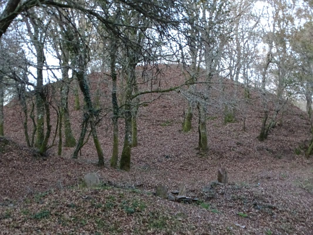 Castro de Garellas (Millarada Forcarei)).