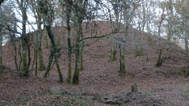 Castro de Garellas (Dúas Igrexas Forcarei).