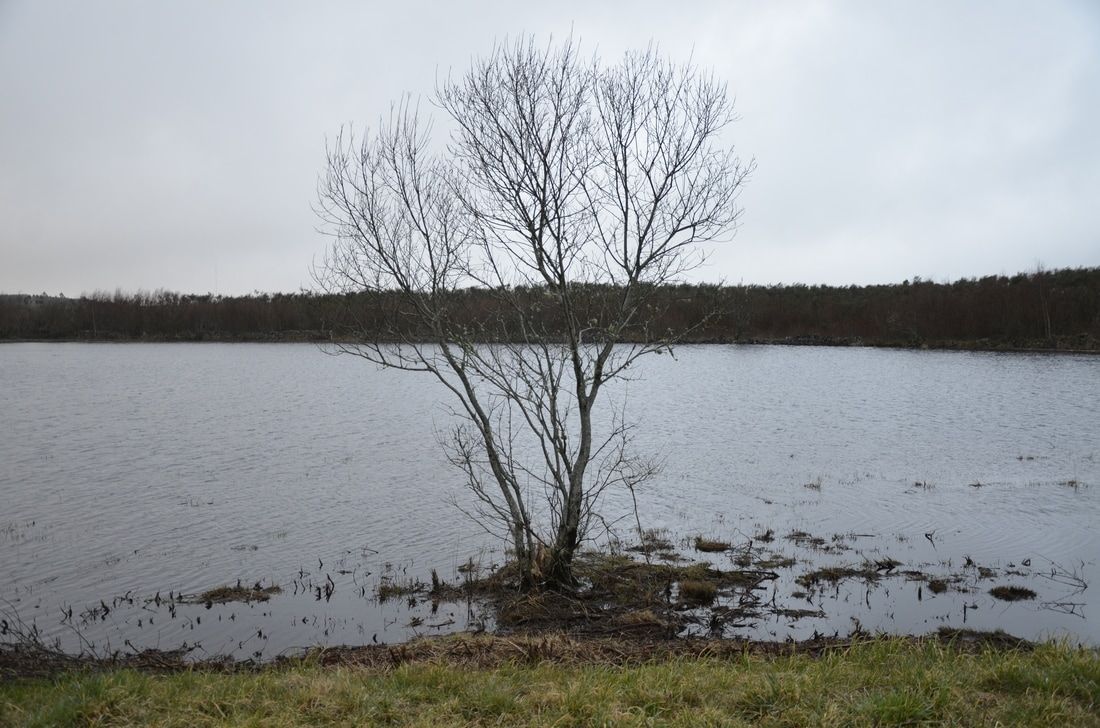 Lagoa Sacra de Olives (A Estrada Forcarei Silleda).