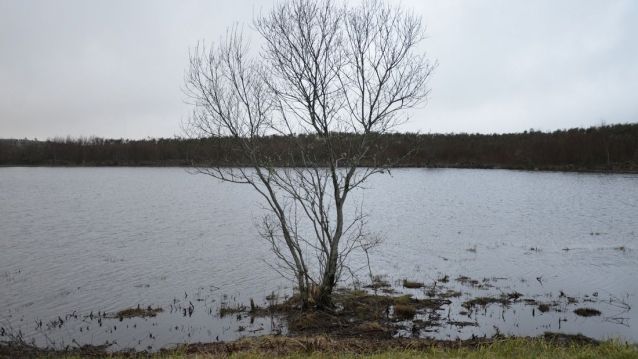 Lagoa Sacra de Olives (A Estrada Forcarei Silleda).