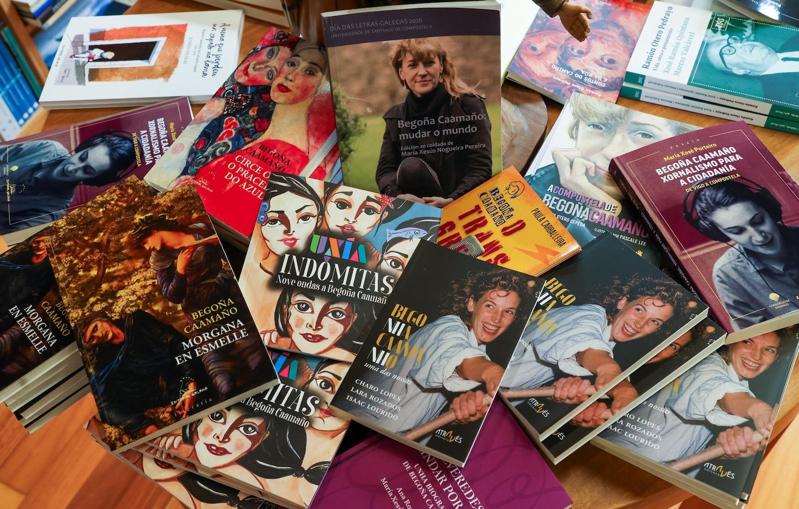 Libros editados sobre Begoña Caamaño