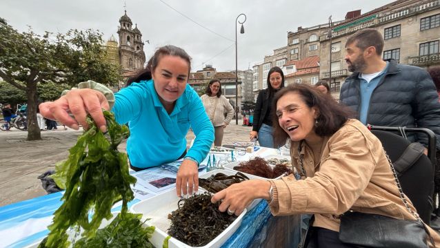 Primera edición de 'Pontevedra cos 5 sentidos' (2025) Primera edición de 'Pontevedra cos 5 sentidos' (2025)