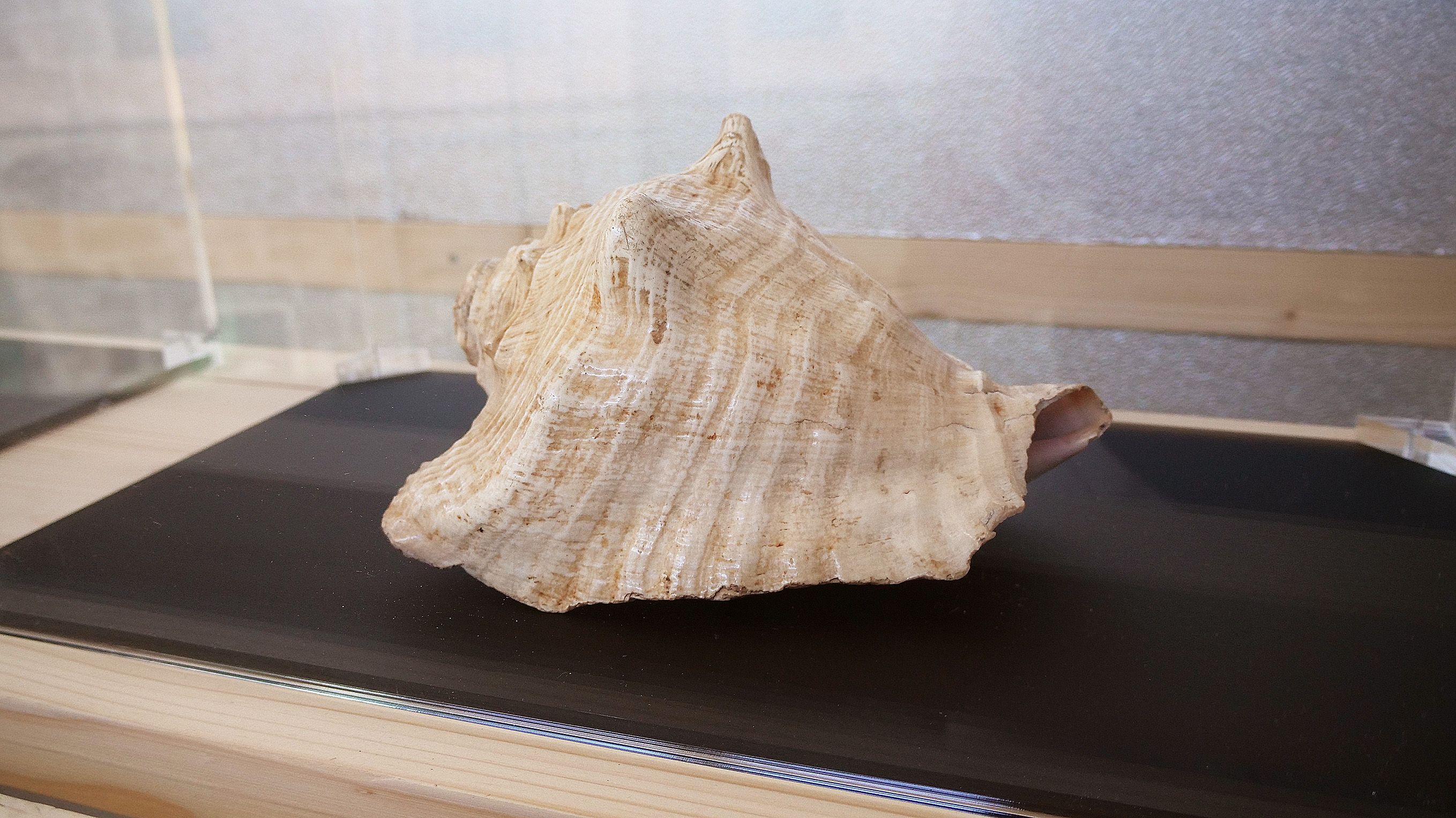 "Infiltracións. Ira Lombardía. Mudanzas" en el Museo de Pontevedra "Infiltracións. Ira Lombardía. Mudanzas" en el Museo de Pontevedra