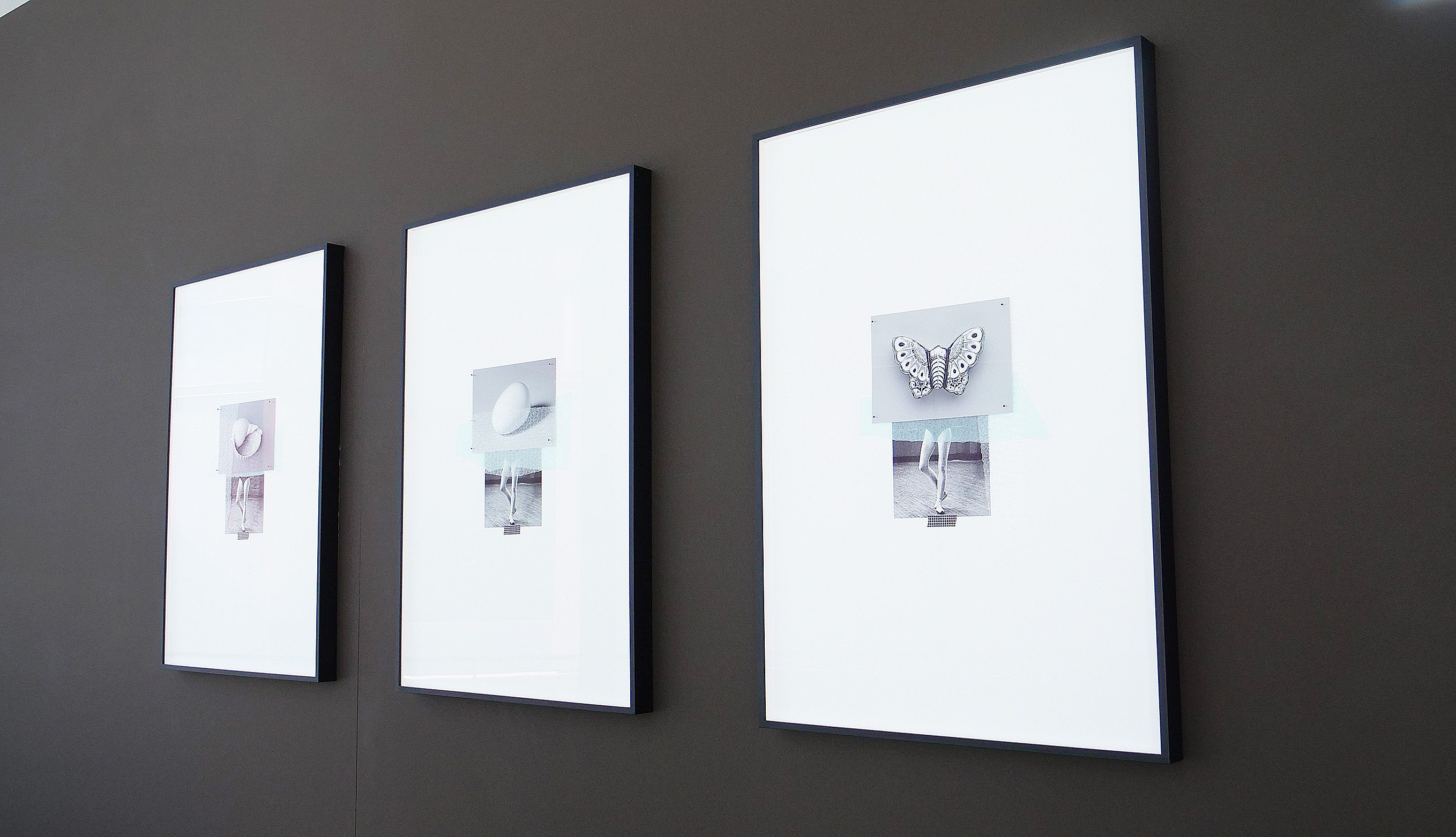 "Infiltracións. Ira Lombardía. Mudanzas" en el Museo de Pontevedra "Infiltracións. Ira Lombardía. Mudanzas" en el Museo de Pontevedra