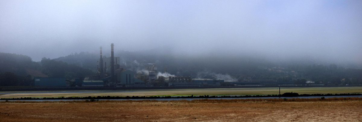 Fábrica de Ence en la ría de Pontevedra