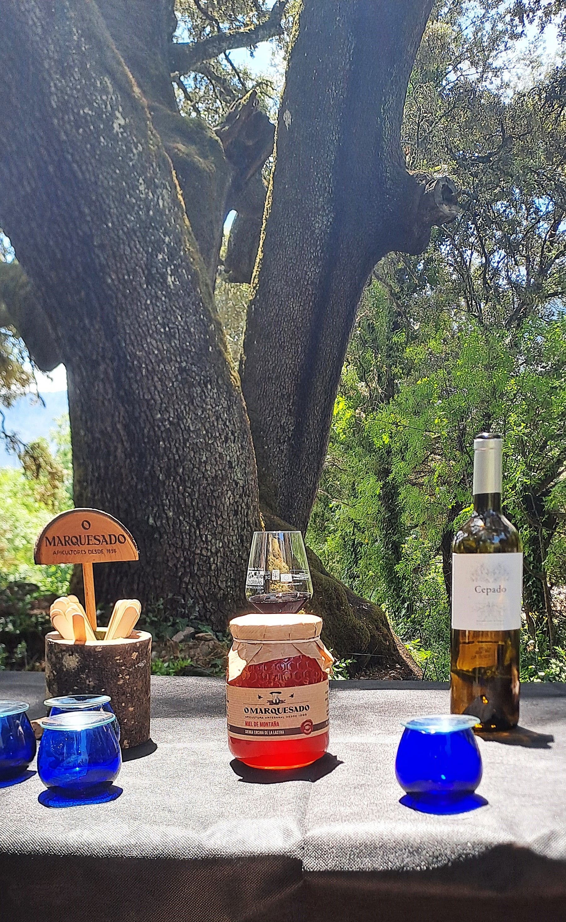 Degustación na Enciña. Miel O Marquesado, Aceite T. Guigurras y vino Cepado Degustación na Enciña. Miel O Marquesado, Aceite T. Guigurras y vino Cepado