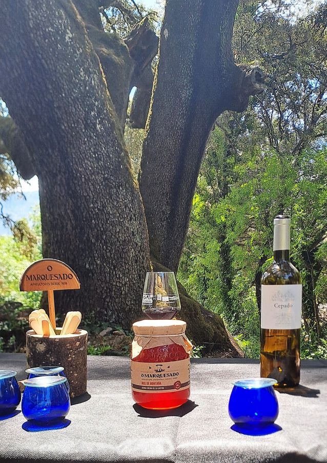 Degustación na Enciña. Mel O Marquesado, Aceite T. Guigurras e viño Cepado Degustación na Enciña. Mel O Marquesado, Aceite T. Guigurras e viño Cepado