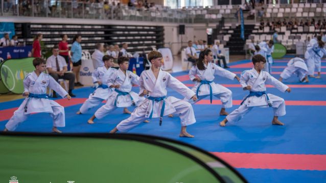 Campeonato de España de Clubes de Karate Campeonato de España de Clubes de Karate