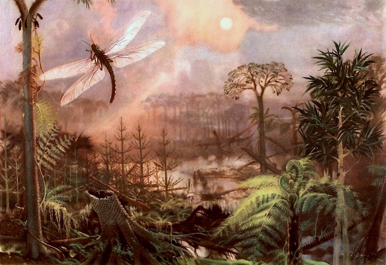 Paisaxe do período carbonífero