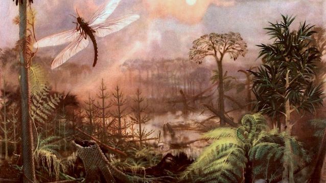 Paisaxe do período carbonífero