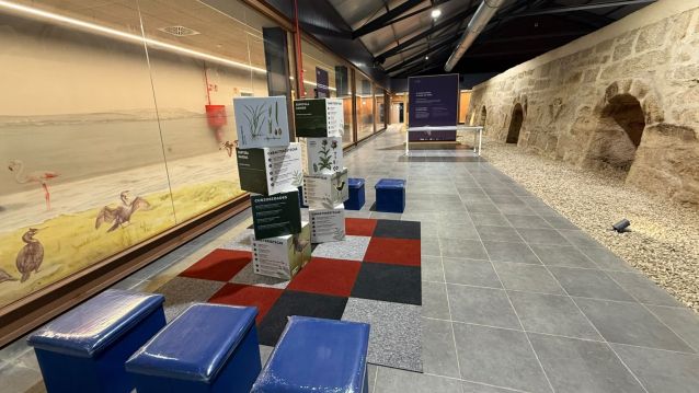 Centro de Interpretación de A Telleira