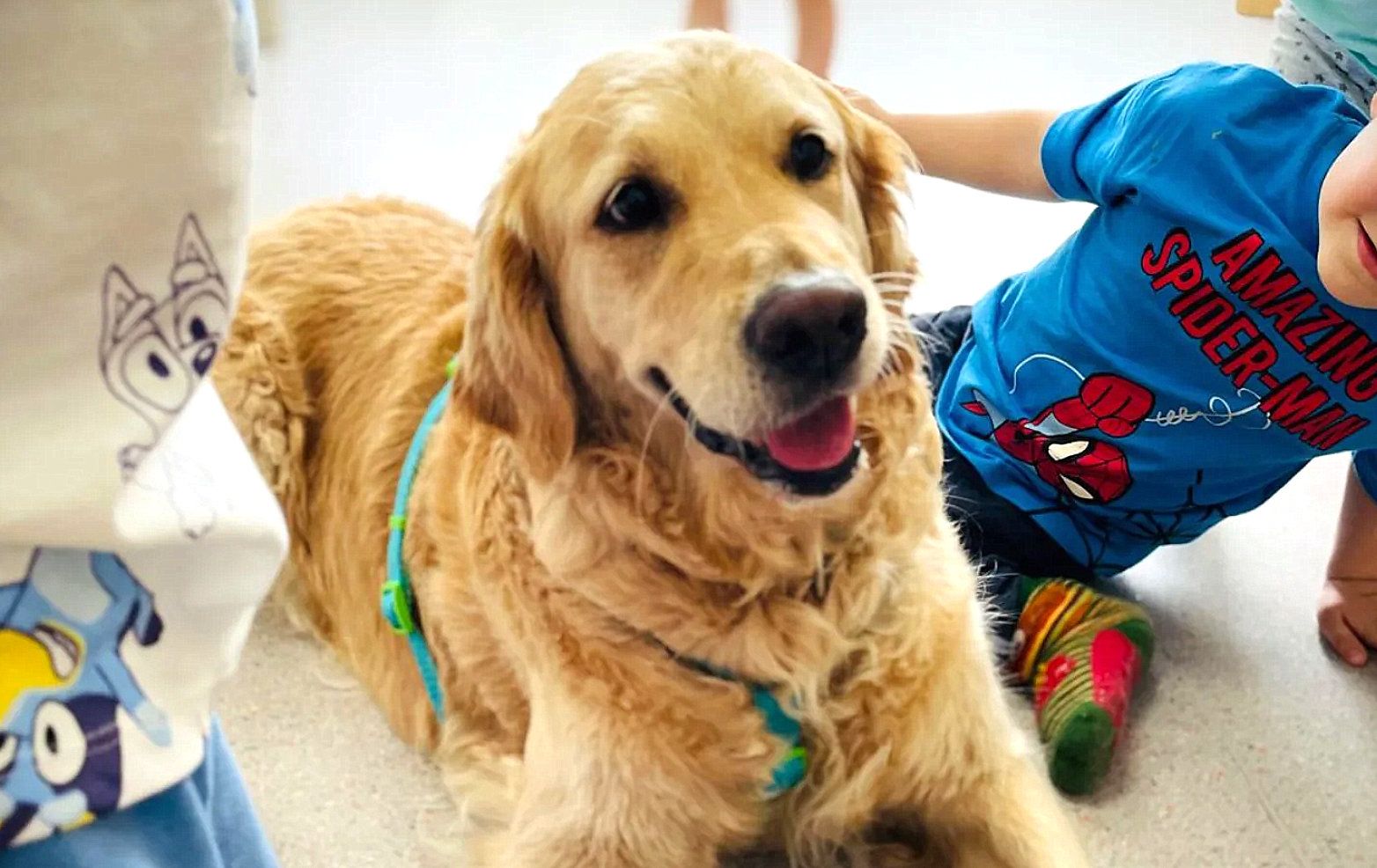 Perro de COCAN en una sesión con niños