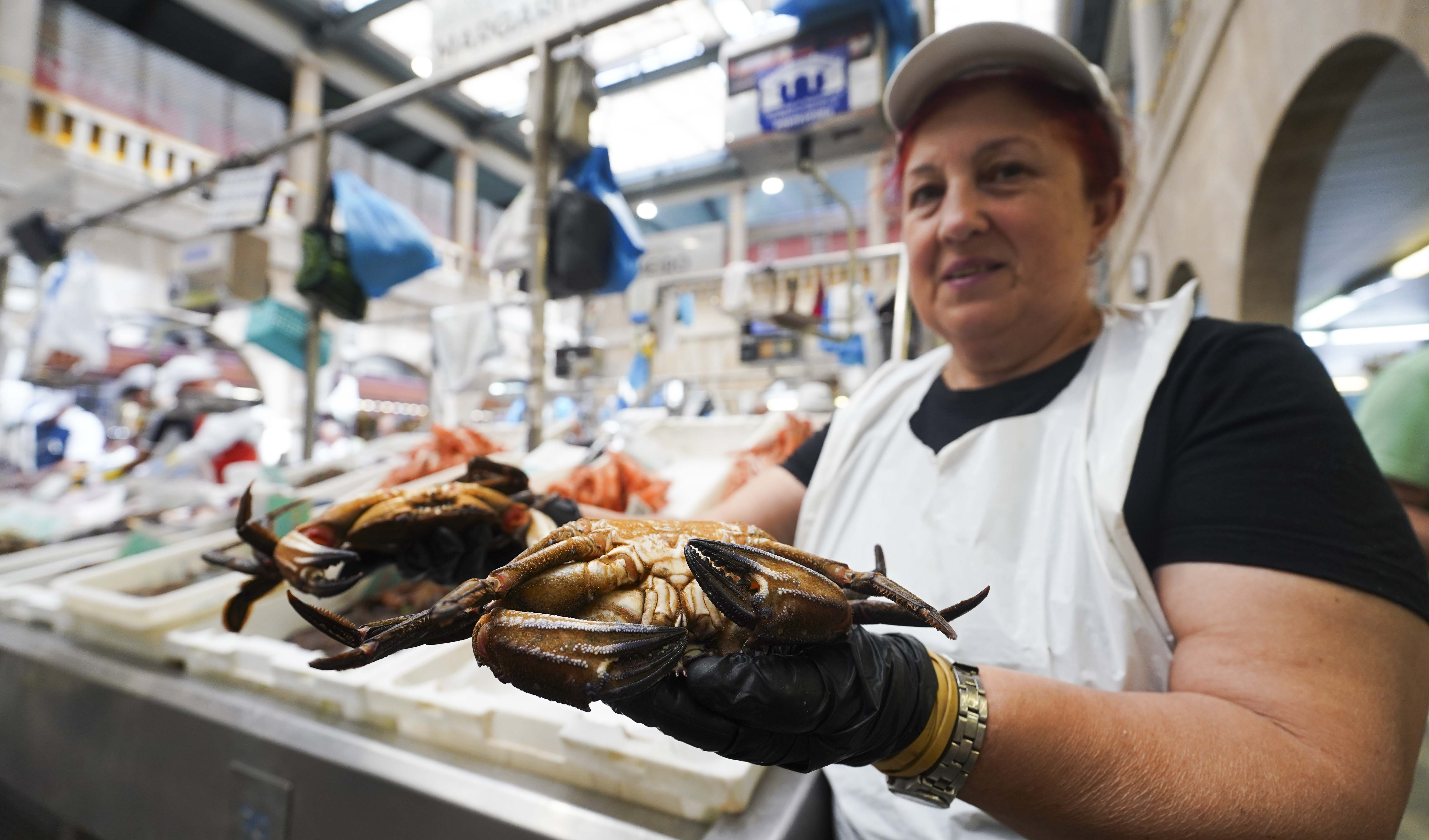 Empeza a campaña de polbo e nécora no mercado de Pontevedra