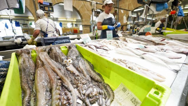 Empieza la campaña de pulpo y nécora en el mercado de Pontevedra