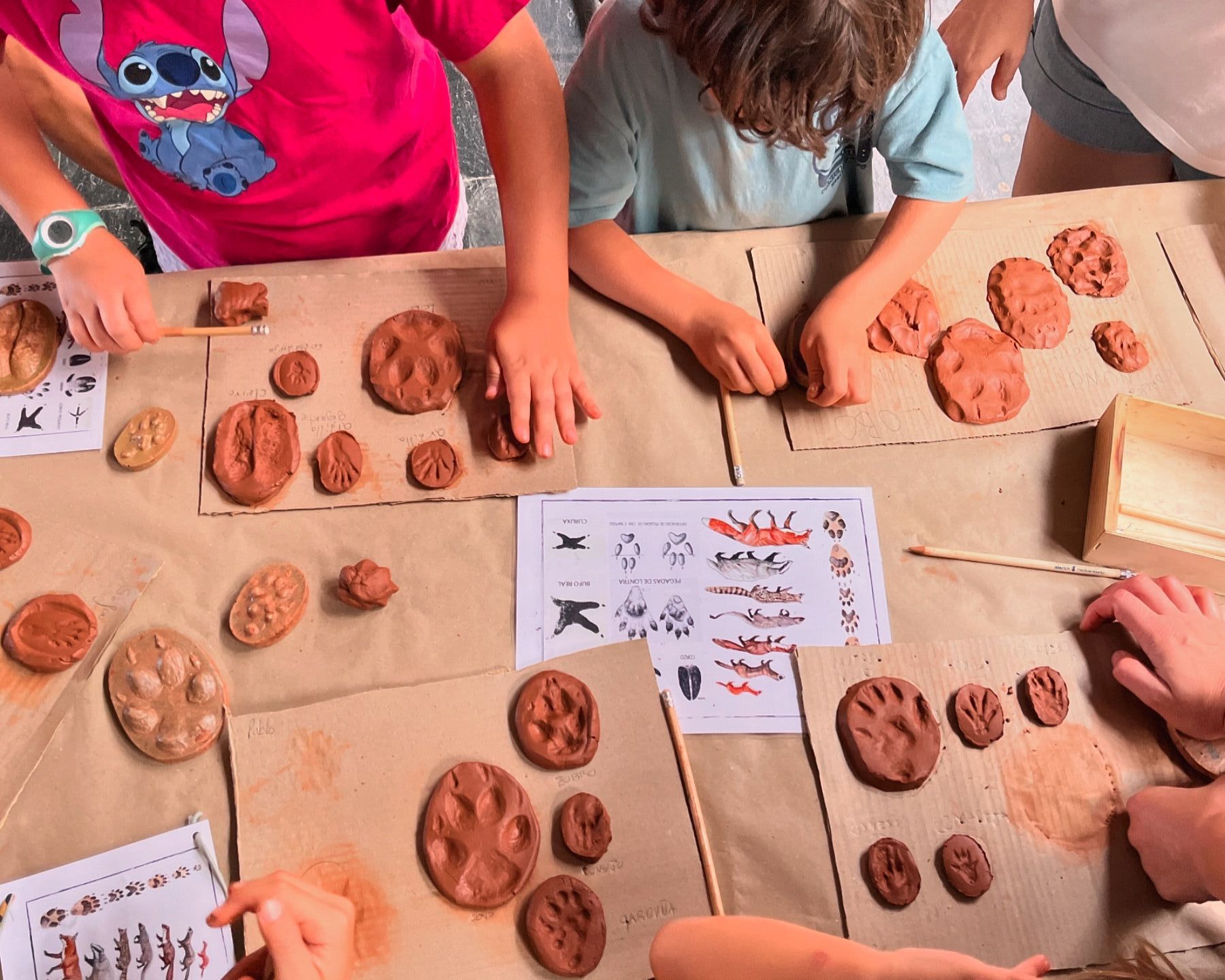 Taller familiar de huellas de animales