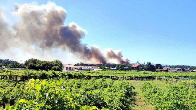 O incendio en Cambados preto de vivendas e dunha empresa porcina