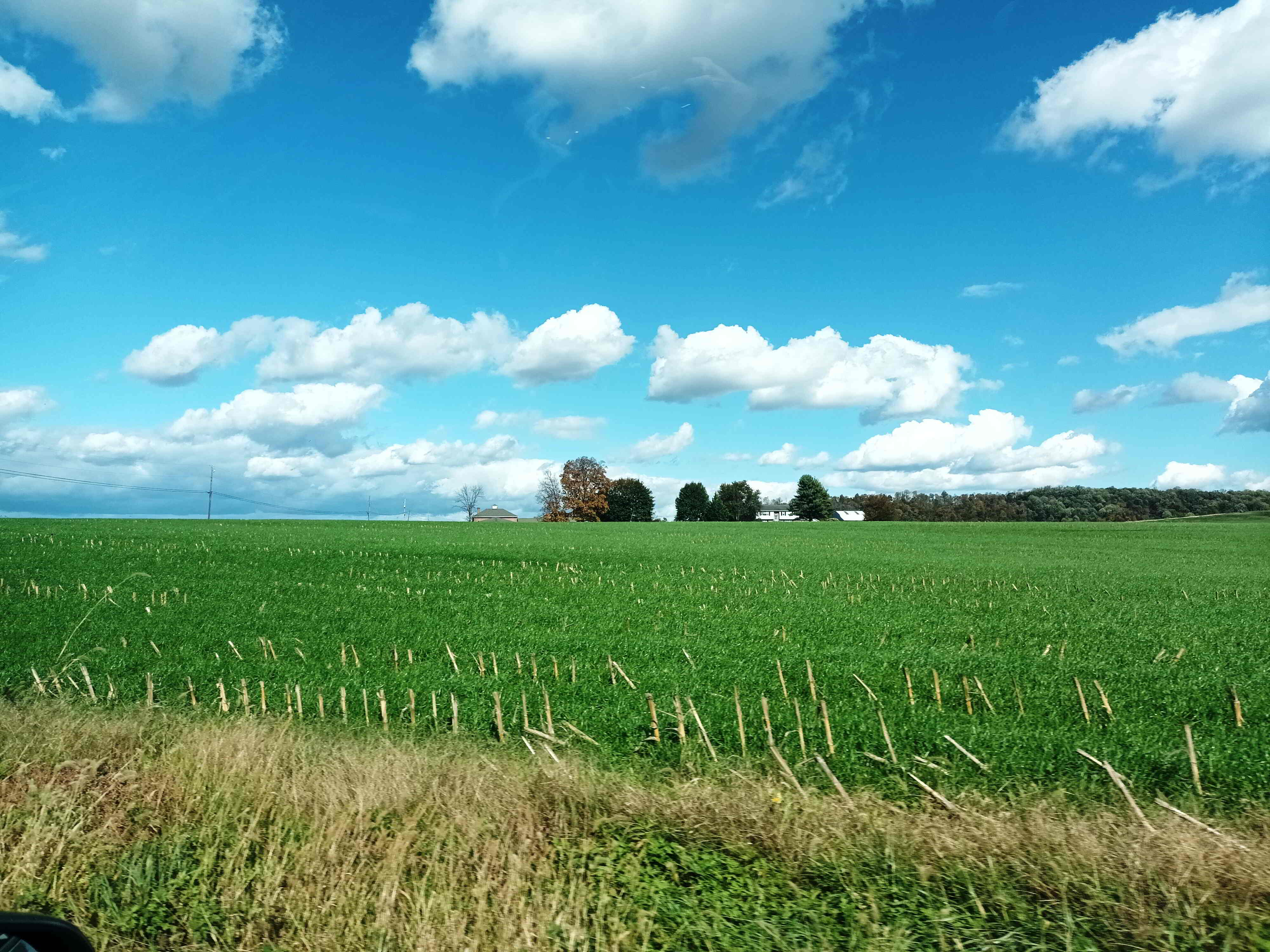 Campo de cultivo en Lancaster, Pensilvania Campo de cultivo en Lancaster, Pensilvania
