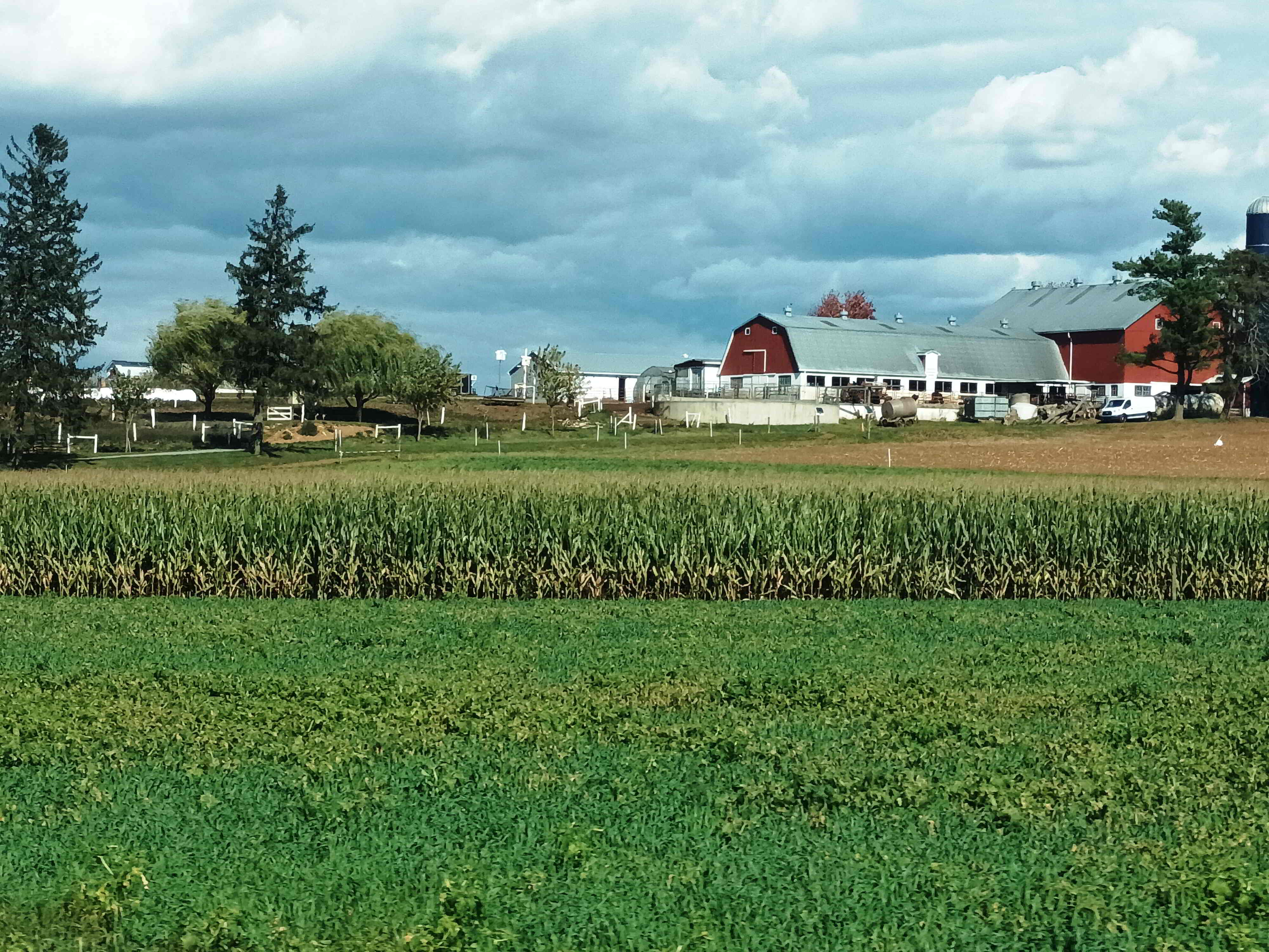 Campo de cultivo en Lancaster, Pensilvania Campo de cultivo en Lancaster, Pensilvania