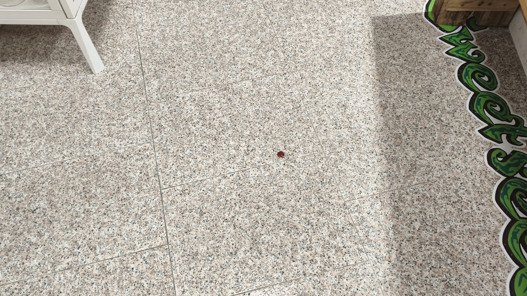 Estado de HerbaMeiga tras el segundo robo perpetrado en el local