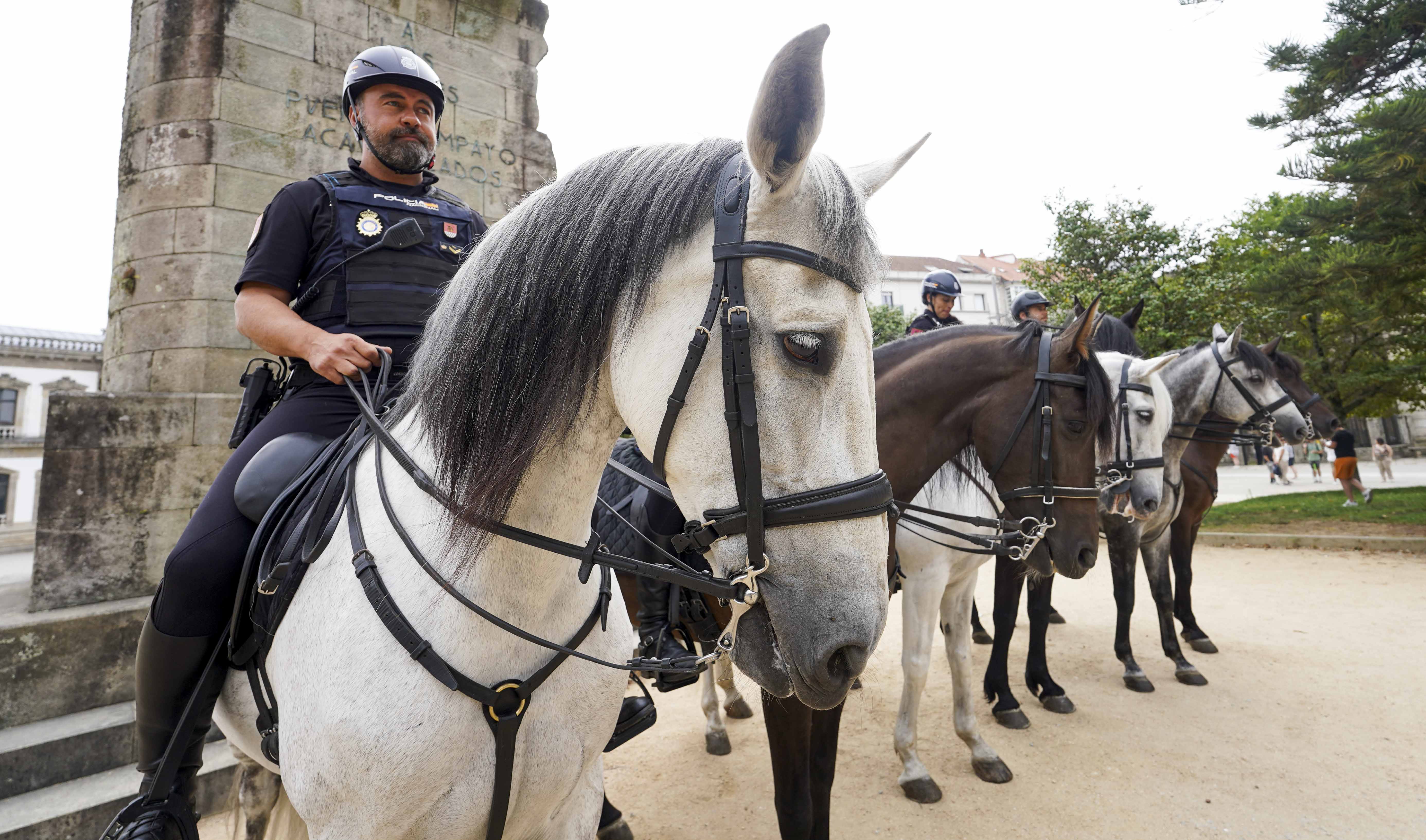 Unidade de Cabalería da Policía Nacional