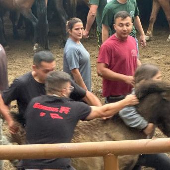 Apeitadores agarrando un poldro Apeitadores agarrando un poldro
