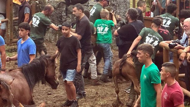 Apeitadores en Amil Apeitadores en Amil
