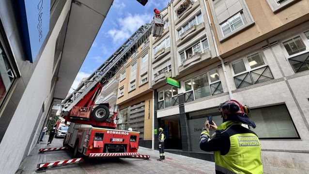 Retirada de un nido de velutinas en Lepanto