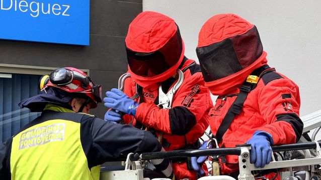 Retirada de un nido de velutinas en Lepanto