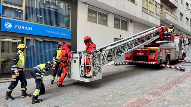 Retirada de un nido de velutinas en Lepanto