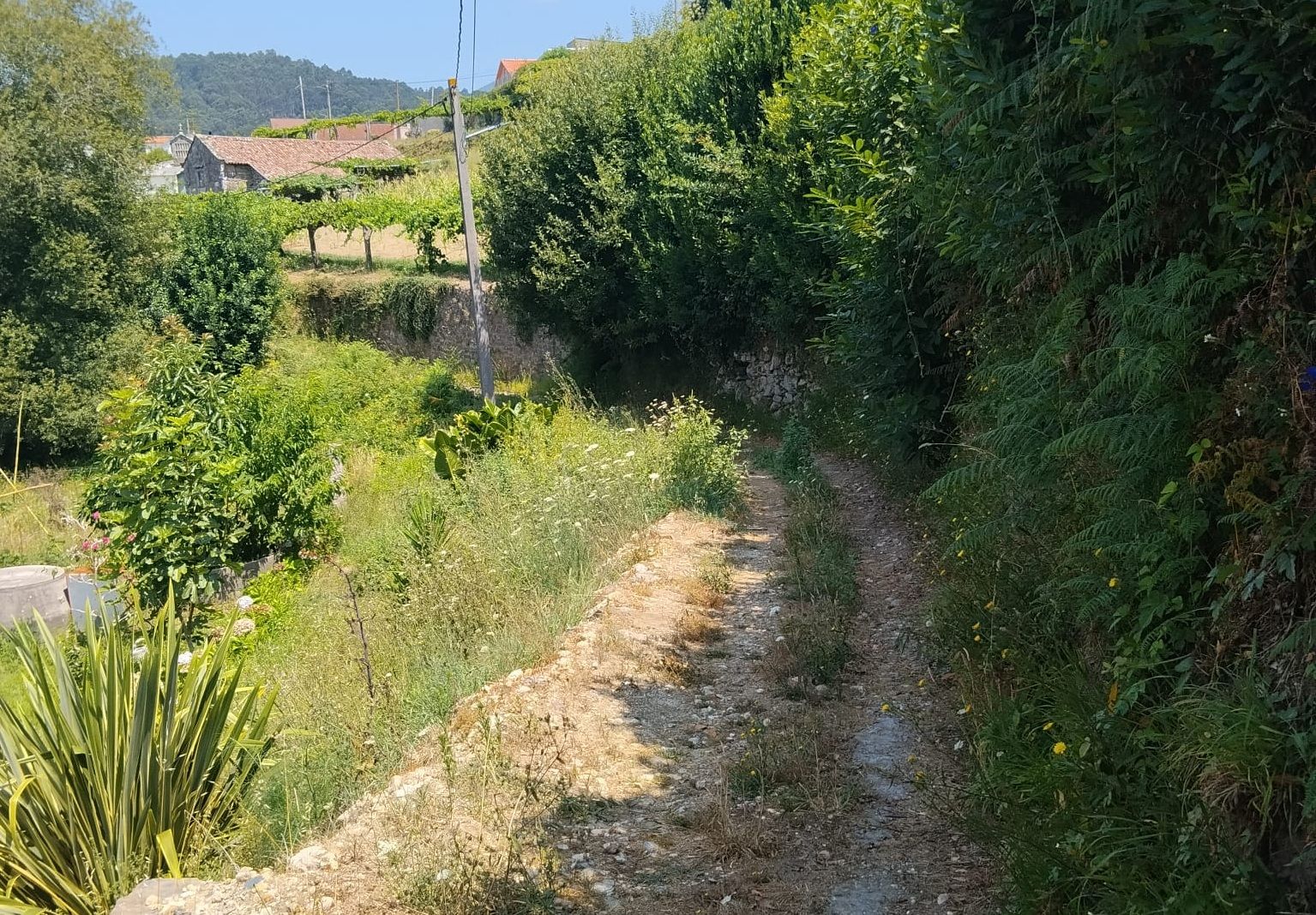 Estado actual del camino de Guillabai en Dorrón