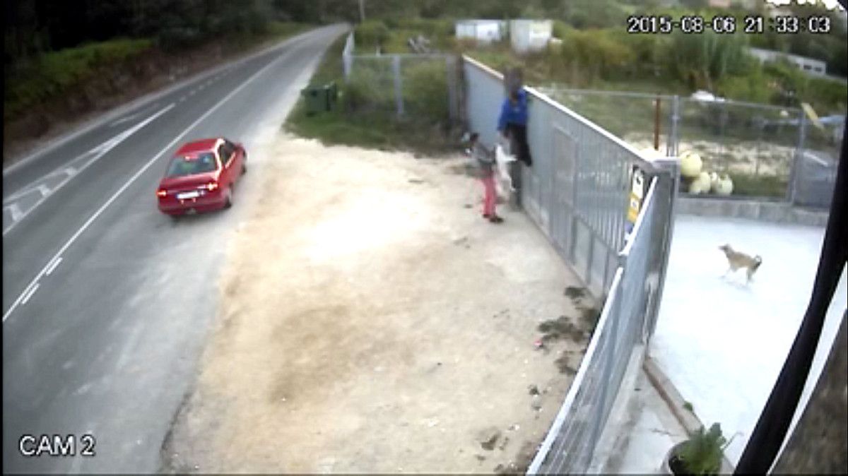 Imagen del abandono del perro en la Protectora de Pontevedra