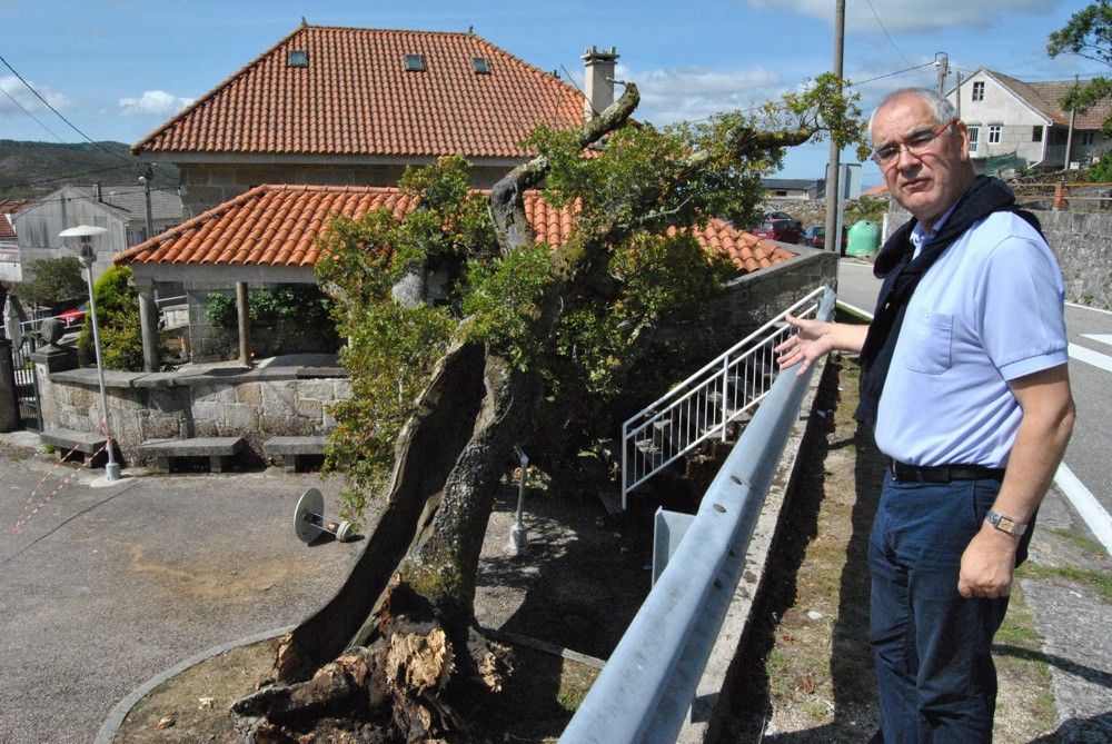 Árbol caído sobre una casa en a Xesta, en A Lama