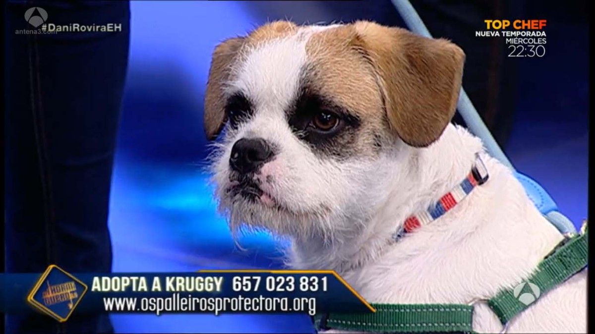 Kruggy durante su participación en 'El hormiguero' junto a Dani Rovira