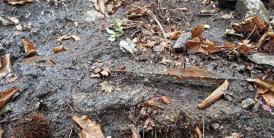 Trampa para ciclistas encontrada en el Monte Castrove